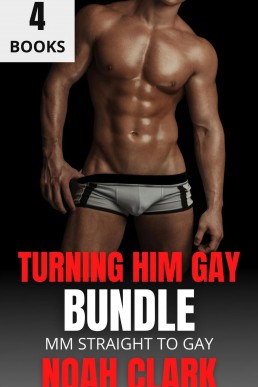 Turning Him Gay: 4 Story Bundle Straight to Gay MM