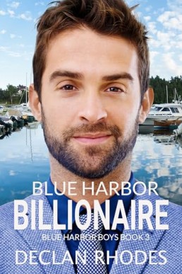 Blue Harbor Billionaire (Blue Harbor Boys 3)