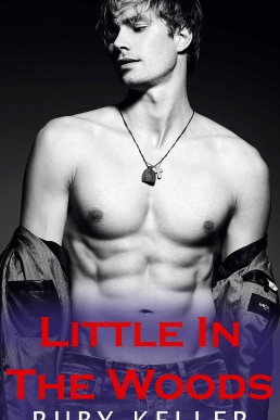 Little In The Woods (Love In The Woods 1; Brave Daddies 1)