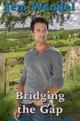 Bridging the Gap (Larchdown Valley 2)