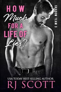 How Much For a Life of Lies? (Shadow Team Book 3)