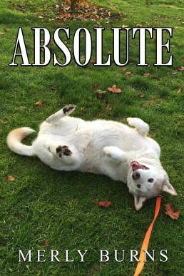 Absolute