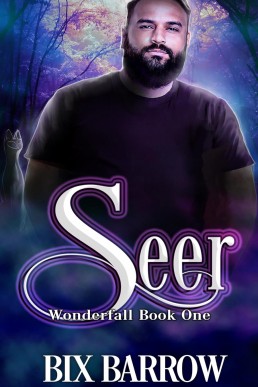 Seer (Wonderfall 1)