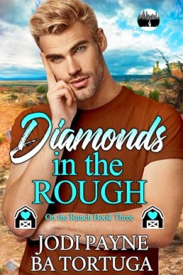 Diamonds in the Rough (On the Ranch 3)