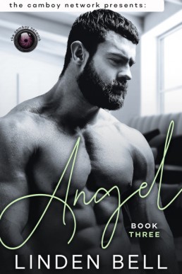 Angel (The Camboy Network 3)