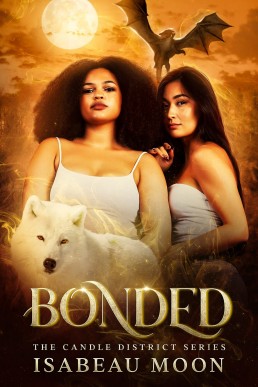 Bonded (The Candle District Book 1)