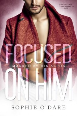 Focused on Him (Marked by His Alpha 6)