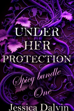 Under Her Protection: Spicy Bundle One