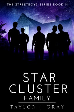 STAR CLUSTER: FAMILY (STREETBOYS SERIES Book 14)