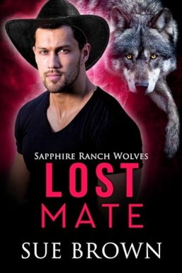 Lost Mate (Sapphire Ranch Wolves 4)