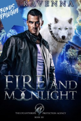 Fire and Moonlight (Bonus Epilogue)