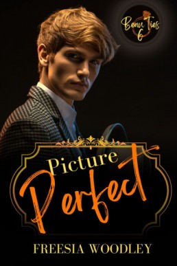 Picture Perfect (Beau Ties 6)