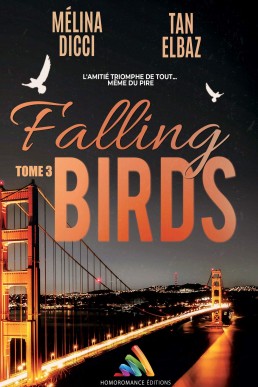 Falling Birds - Tome 3 (French Edition)