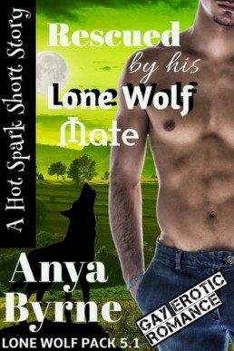 Rescued by His Lone Wolf Mate (Lone Wolf Pack 5.1)