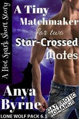 A Tiny Matchmaker for Two Star-Crossed Mates (Lone Wolf Pack 6.1)