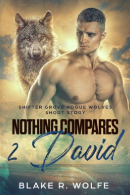 Nothing Compares 2 David (Shifter Grove Rogue Wolves 4.5)