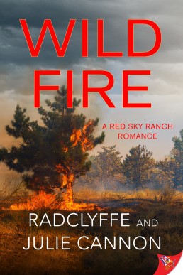 Wild Fire (A Red Sky Ranch Romance Book 2)