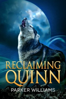 Reclaiming Quinn (Wolves of Lydon 2)