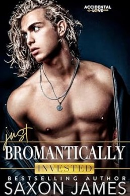 Just Bromantically Invested (Accidental Love 4)