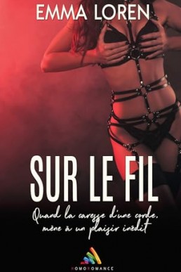 Sur le fil (French Edition)