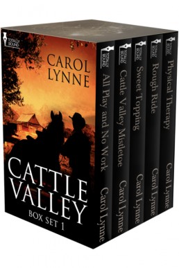 Cattle Valley (Box Set 1 Books 1-5)