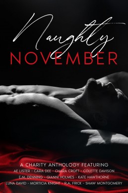 Naughty November: A Charity Anthology