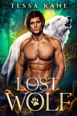 Lost Wolf: MM Shifter Romance (Exiled Omegas Book 2)