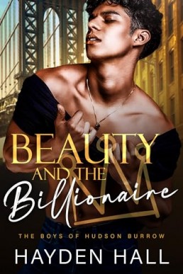 Beauty and the Billionaire (The Boys of Hudson Burrow 3)