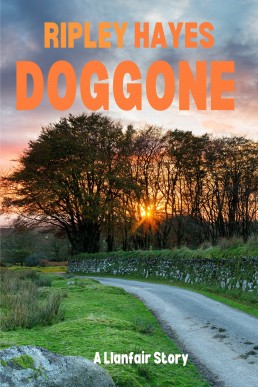 Doggone: A Llanfair Story (DS Charlie Rees 3.5)