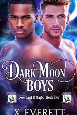 Dark Moon Boys (Love, Lust & Magic 2)