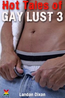 Hot Tales of Gay Lust 3