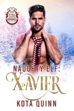 Naughty Elf Xavier (Santa's Naughty Elf Mates)