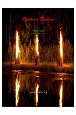 Christmas Bonfires (Phoenix Rising Holiday short story)