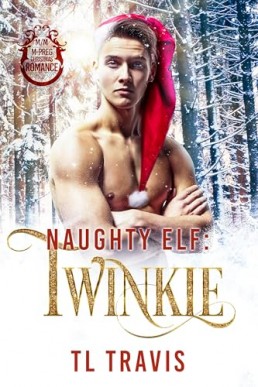 Naughty Elf Twinkle (Santa's Naughty Elf Mates)