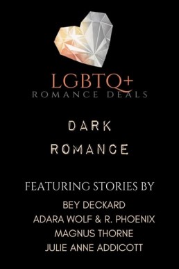 LGBTQ+ Romance Deals Anthology: Dark Romance