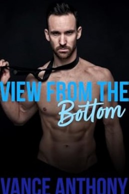 View From the Bottom: A Bundle of Gay Erotic Shorts