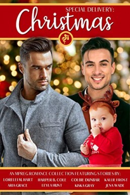 Special Delivery - Christmas (A Mpreg Anthology)