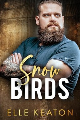 Snowbirds (Reclaimed Hearts Novella)