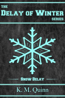 Snow Delay: Delay of Winter #1: A Spicy Small Town Hockey