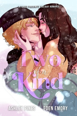 Two of a Kind: A Forced Proximity Holiday Romance (New Cover)