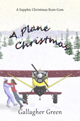 A Plane Christmas