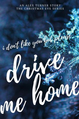 I Don't Like You, But Please Drive Me Home (Christmas Eve, #2)