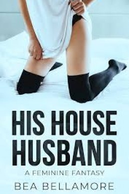 His House Husband