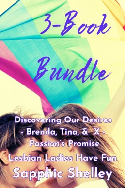 3-Book Bundle: Discovering Our Desires - Brenda, Tina, &amp; X - Passion’s Promise