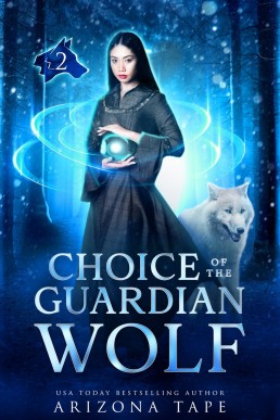 Choice Of The Winter Wolf (Guardian Of The Winter Stone Book 2)