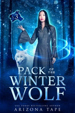 Pack Of The Winter Wolf (Guardian Of The Winter Stone Book 3)