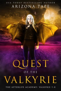 Quest Of The Valkyrie: The Afterlife Academy: Valkyrie 1-4