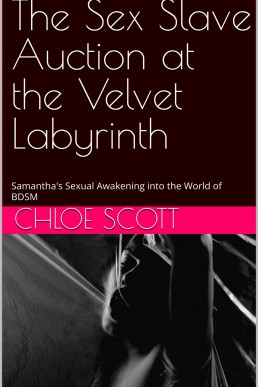 The Sex Slave Auction at the Velvet Labyrinth: Samantha's Sexual Awakening into the World of BDSM