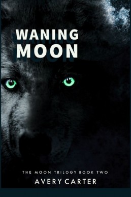 Waning Moon (The Moon Trilogy Book 2)