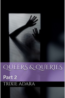 Queers & Queries Part 2 (Queers & Queries)